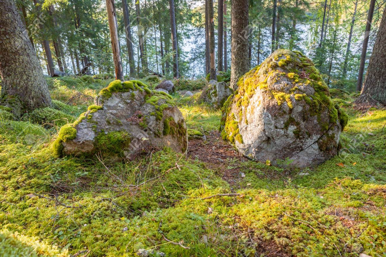 What is a mossy cobblestone rock in Minecraft?