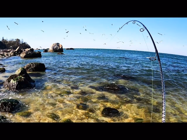 What are the characteristics of rock fishing?