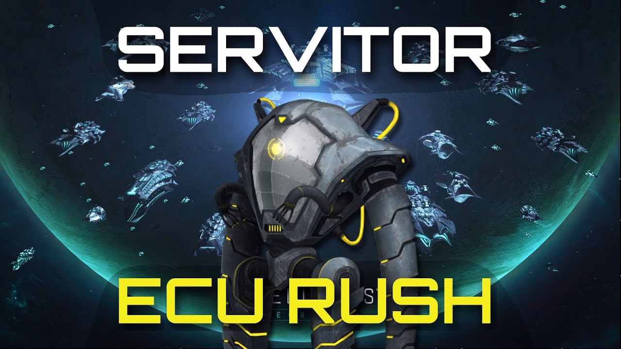 Do Rogue servicers have a coordinator?
