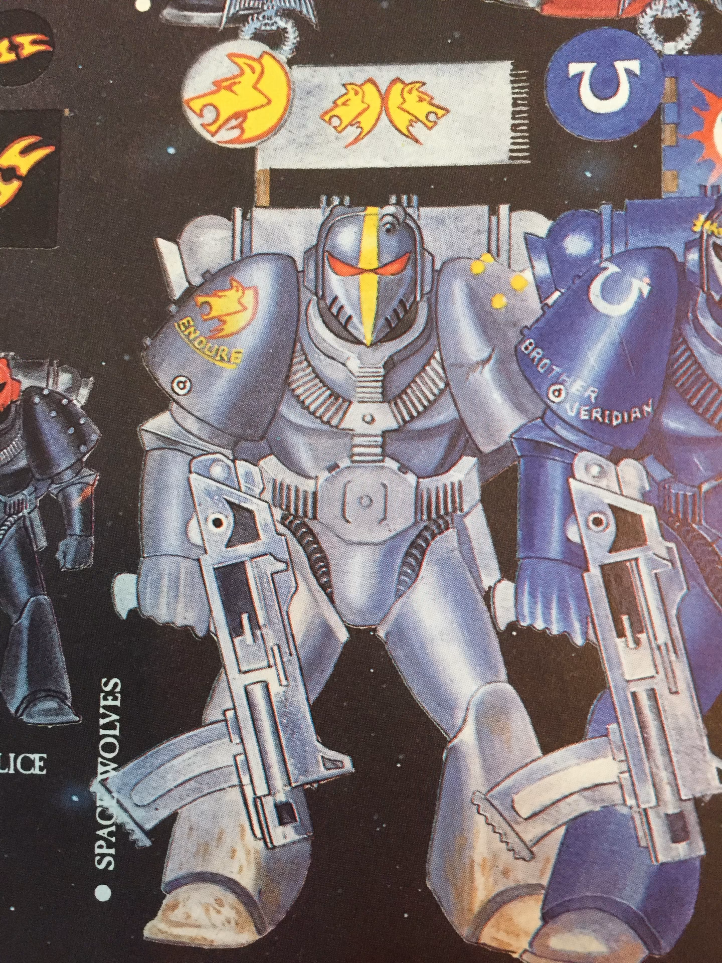 Where is Space Wolf in Rogue Trader?