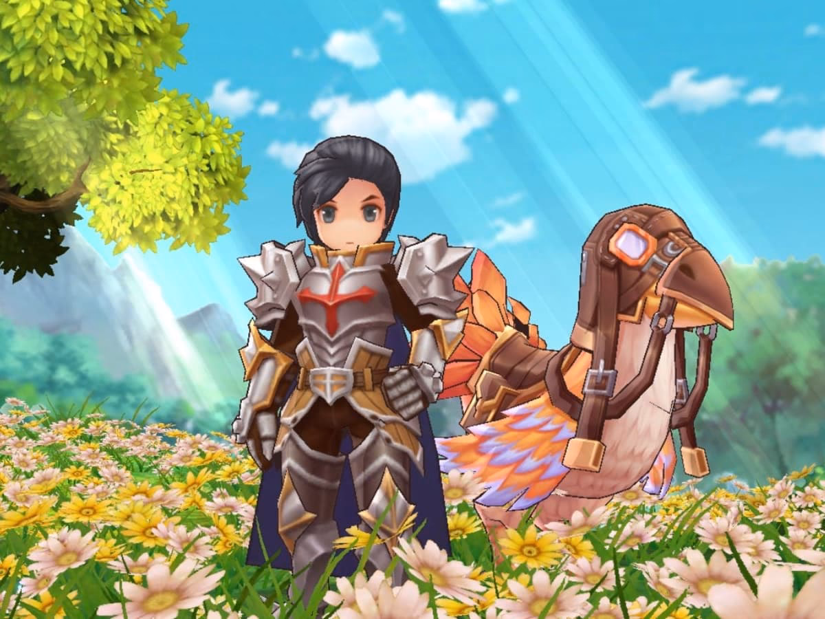 What LV level should a Paladin be?