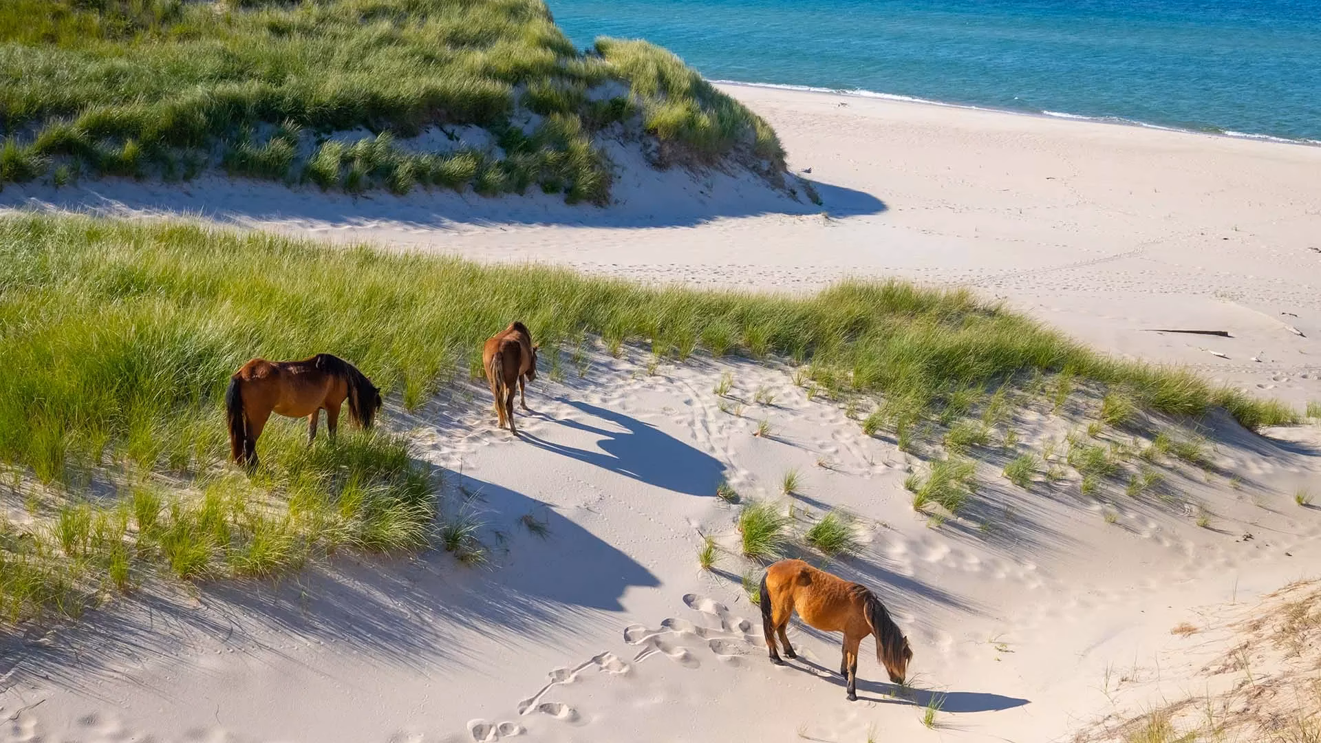 What is Sable Island known for?