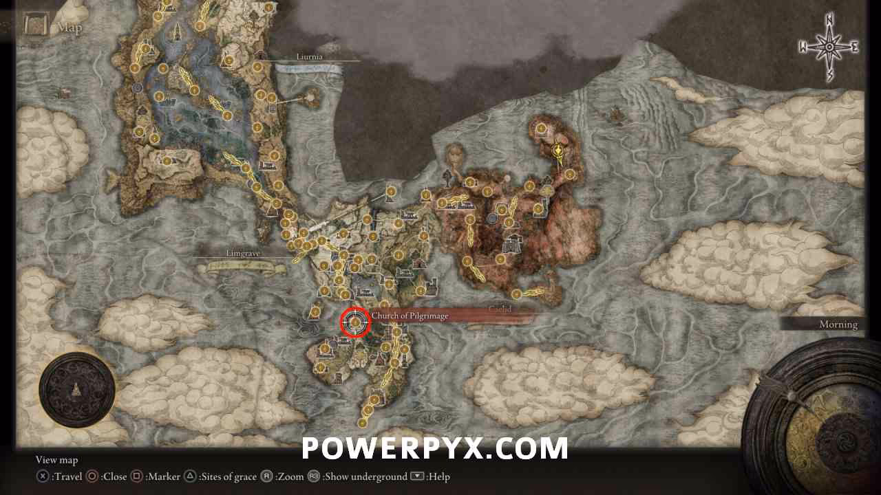 Where can I find Sacred Tears in limgrave?
