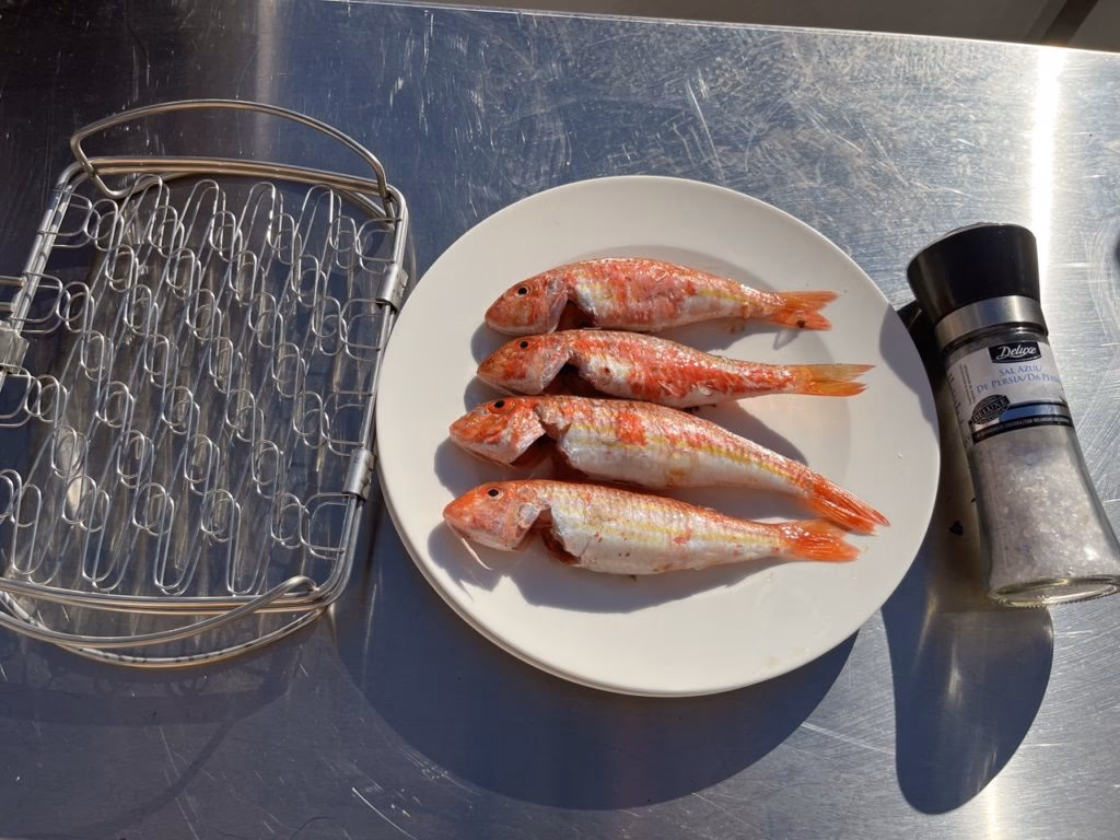 ¿Cómo cocinar el salmón a la brasa?