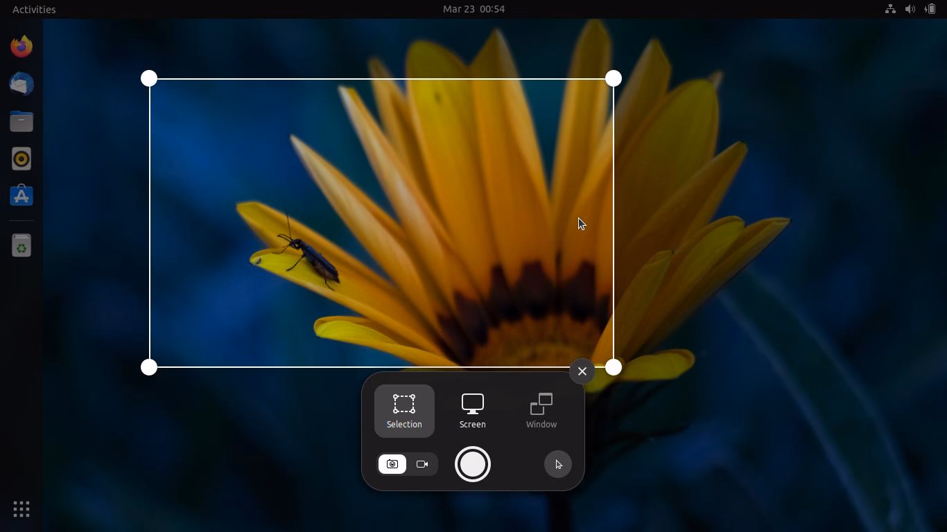Can a user take a screenshot of a UI element?