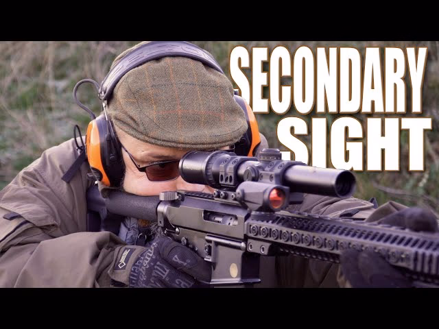 What is Second Sight?
