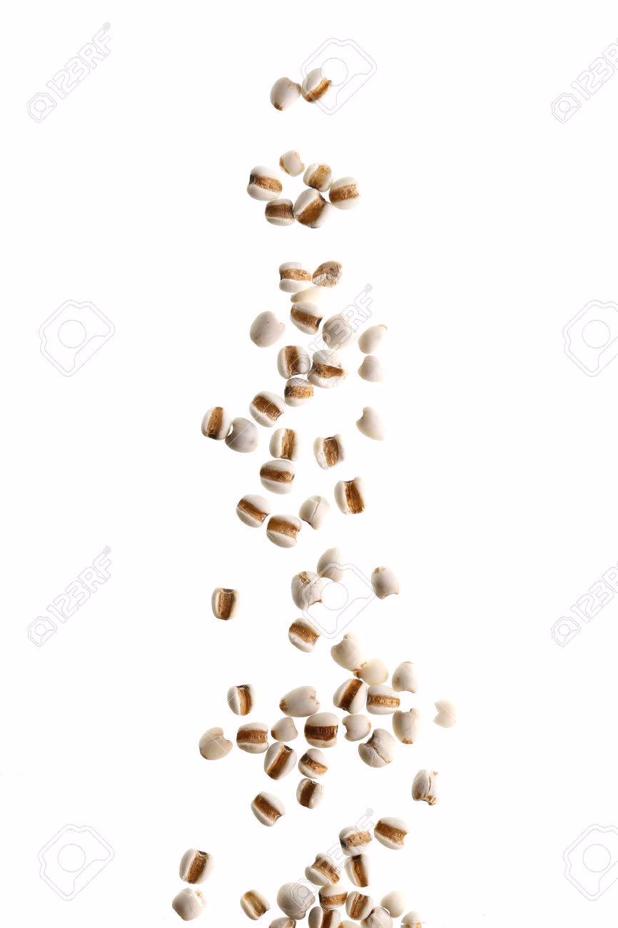 Why do seedlings fall over?