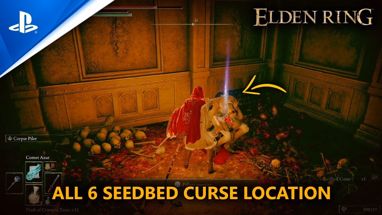 What is the seedbed curse?