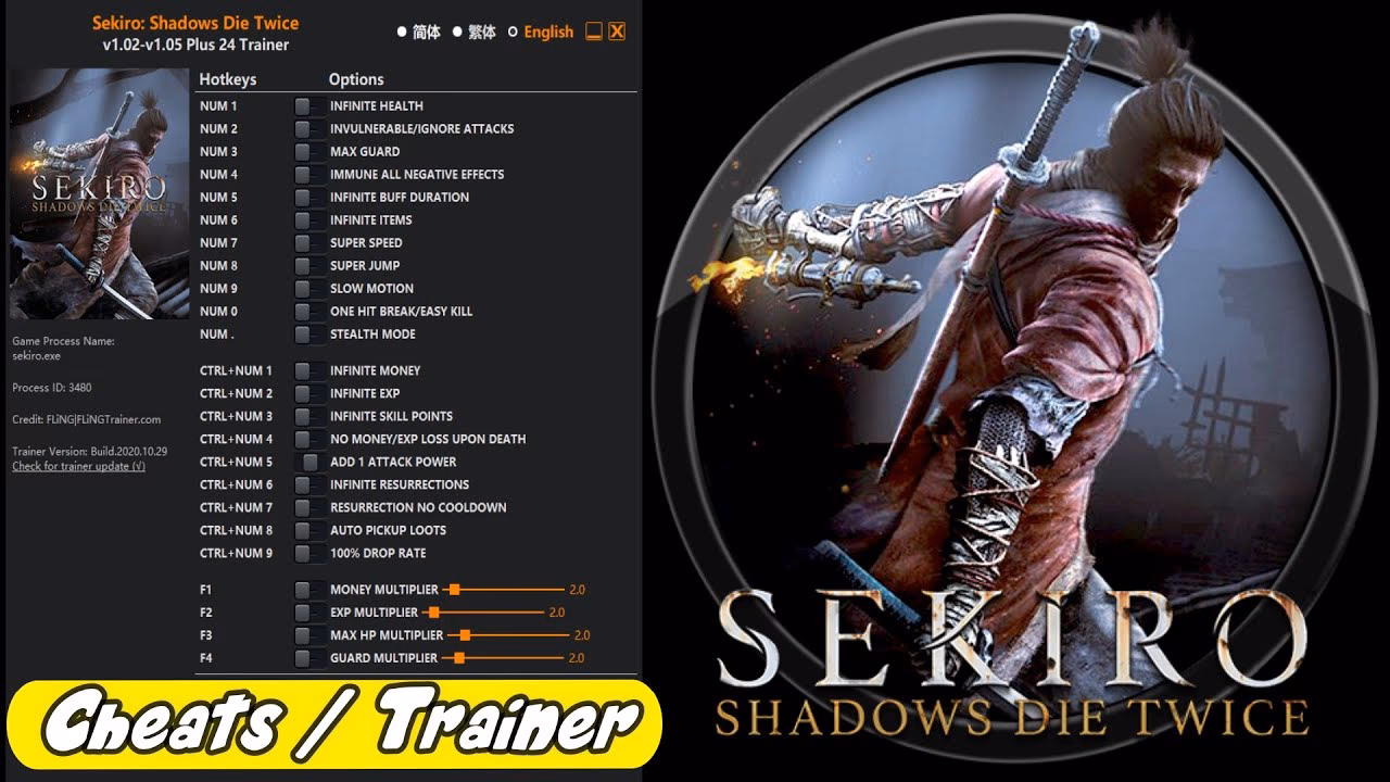 Is Sekiro a 3rd person game?