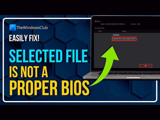 Why is selected file not a proper BIOS?