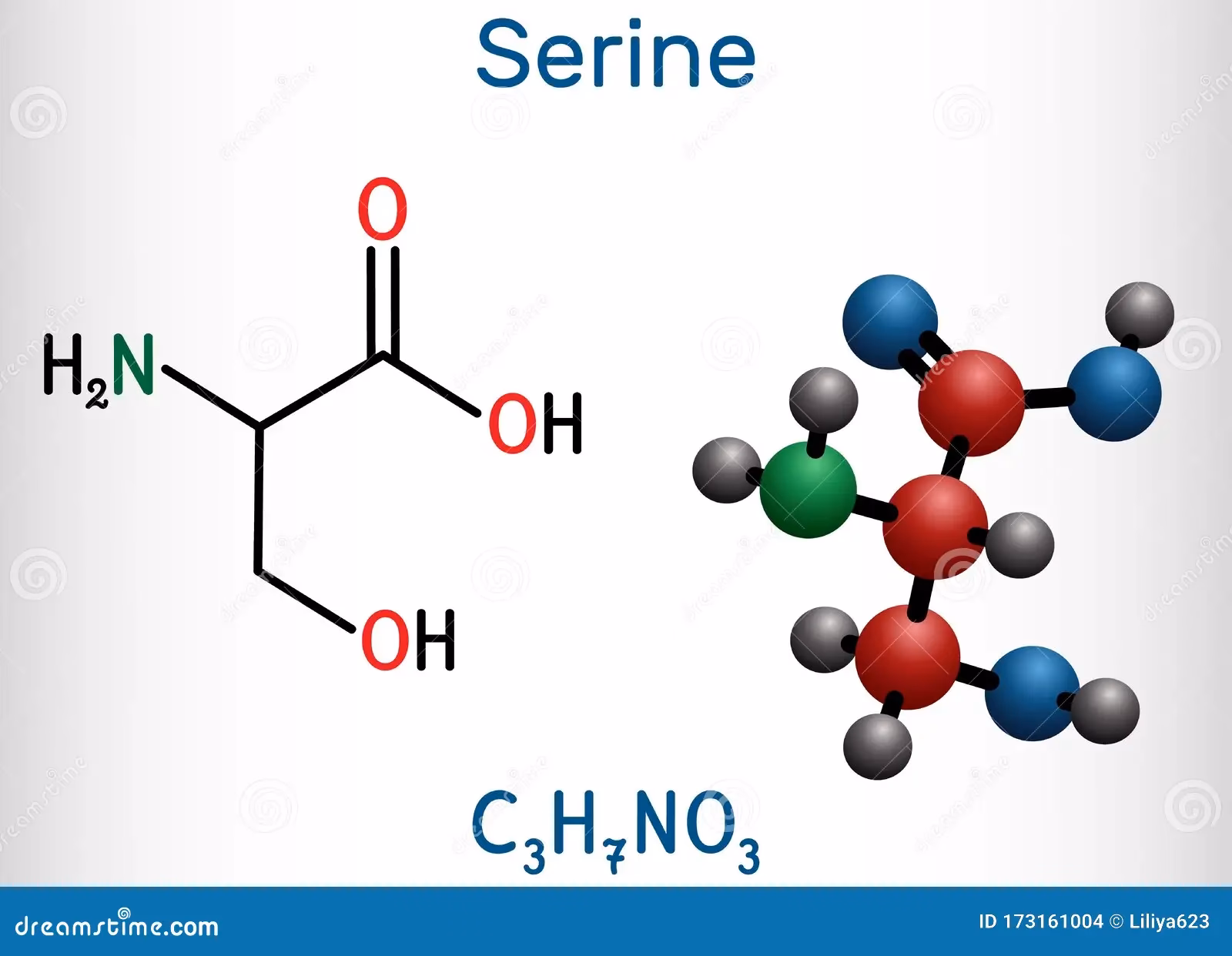 ¿Cómo se produce la serina?