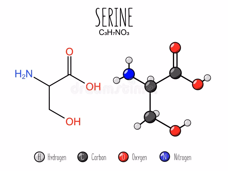 ¿Cuáles son los beneficios de la serina?