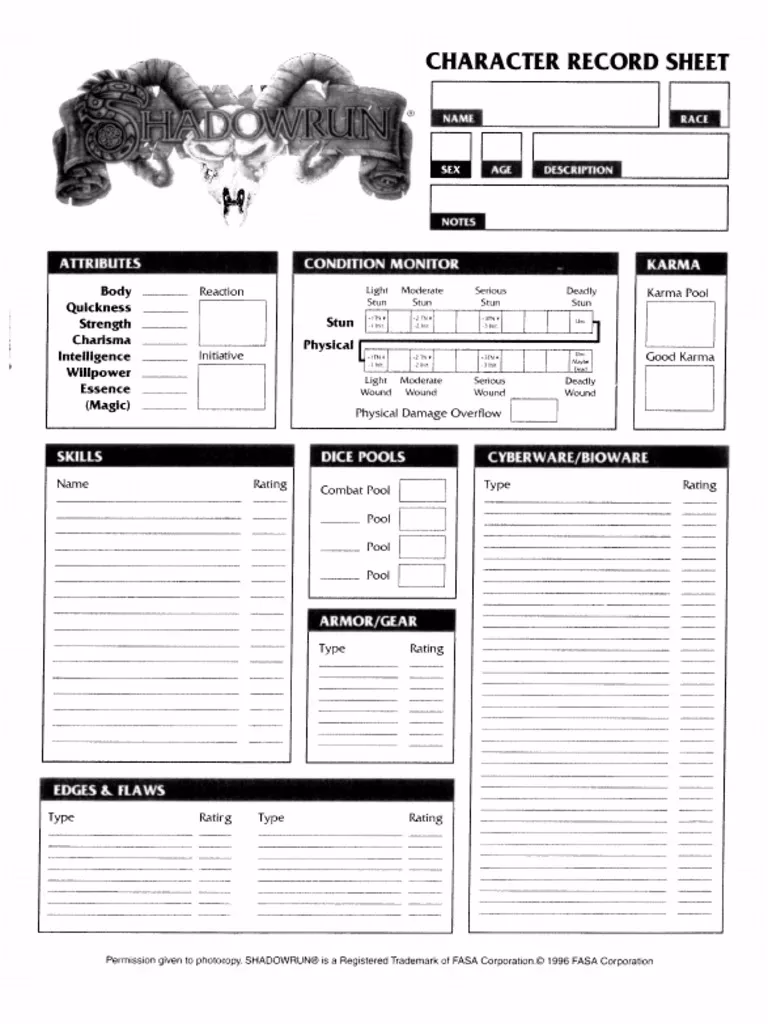 What is a Shadowrun?