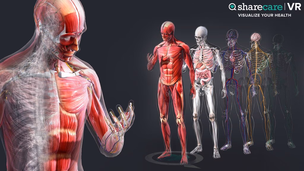 What's new in Sharecare you VR?