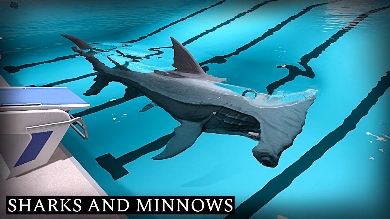 Can you play sharks and minnows online without downloading?