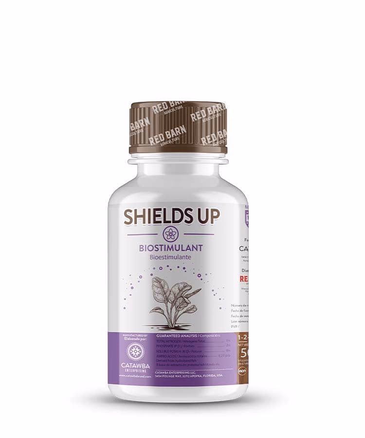 How secure is ShieldsUP?