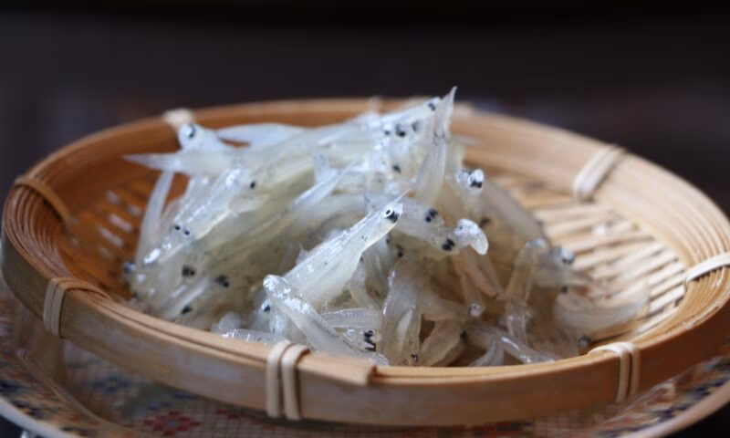 What is shirasu & chirimen jako?