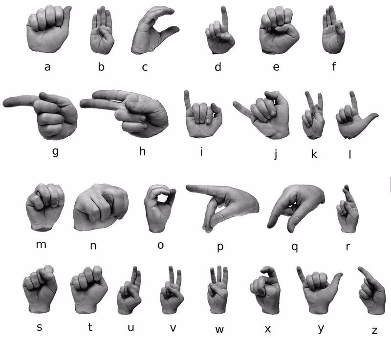 What is sign language?
