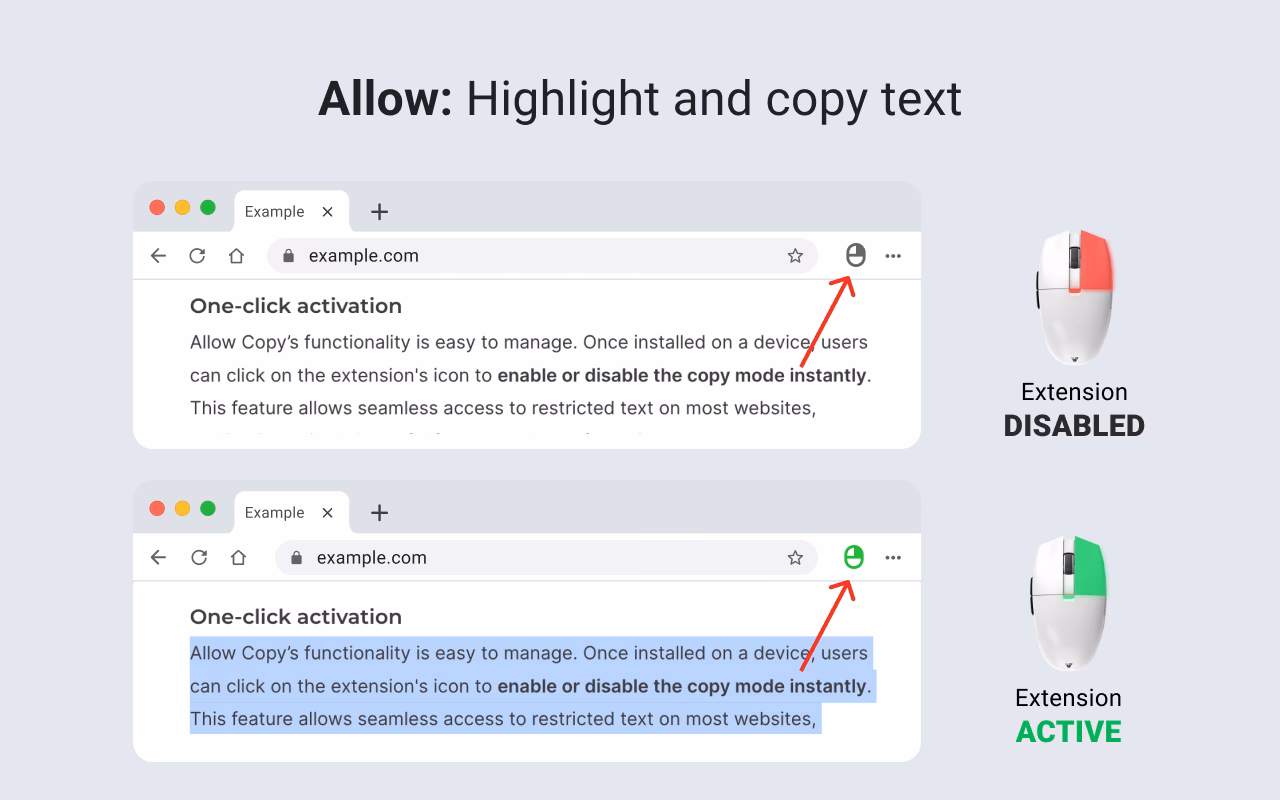 How to copy text from a website?