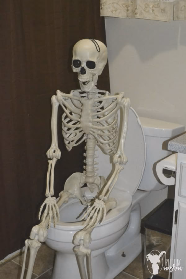 What are some funny memes about Skeletor?