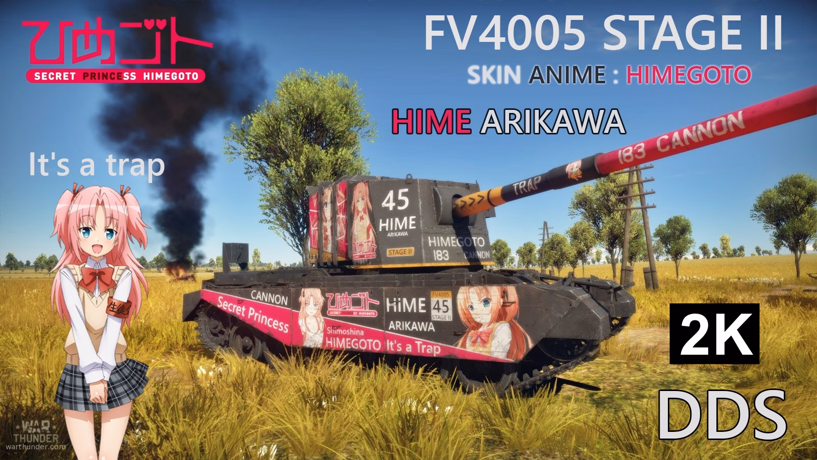 What are War Thunder skins?