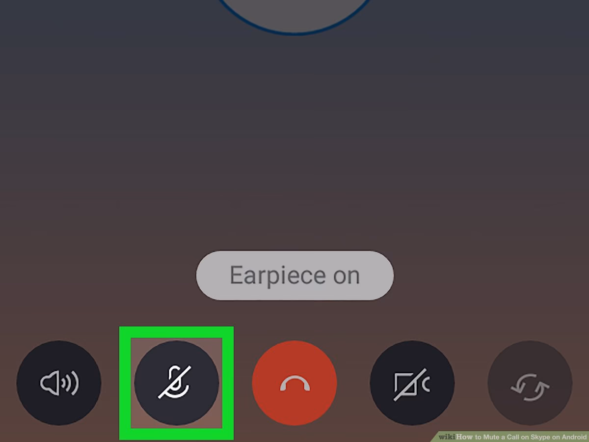 How do I mute someone on Skype?