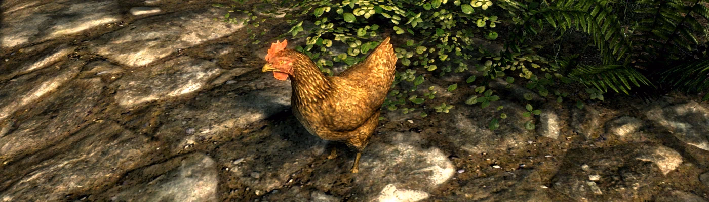 What is the address library database in Skyrim Anniversary Edition?