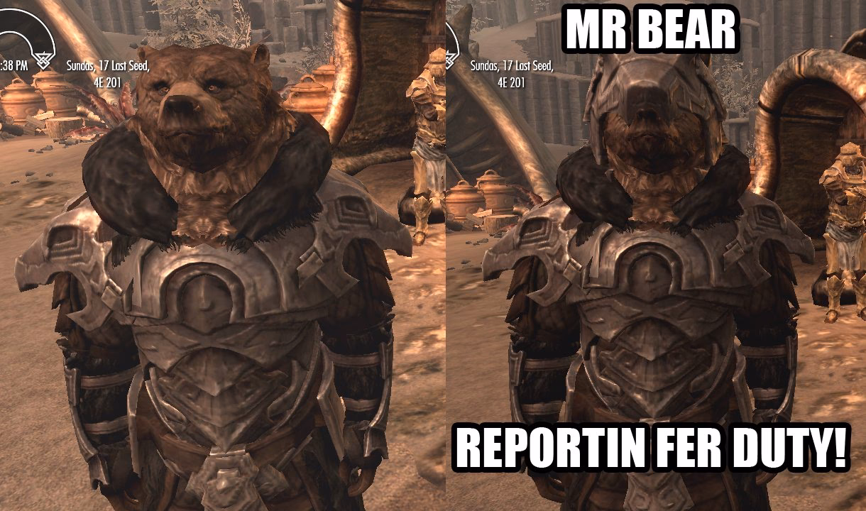 Does Skyrim Special Edition have race compatibility?