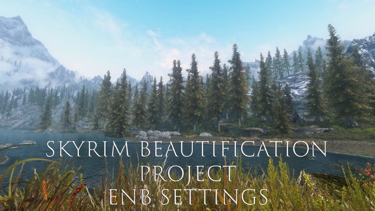 What is the Skyrim Beautification Project?