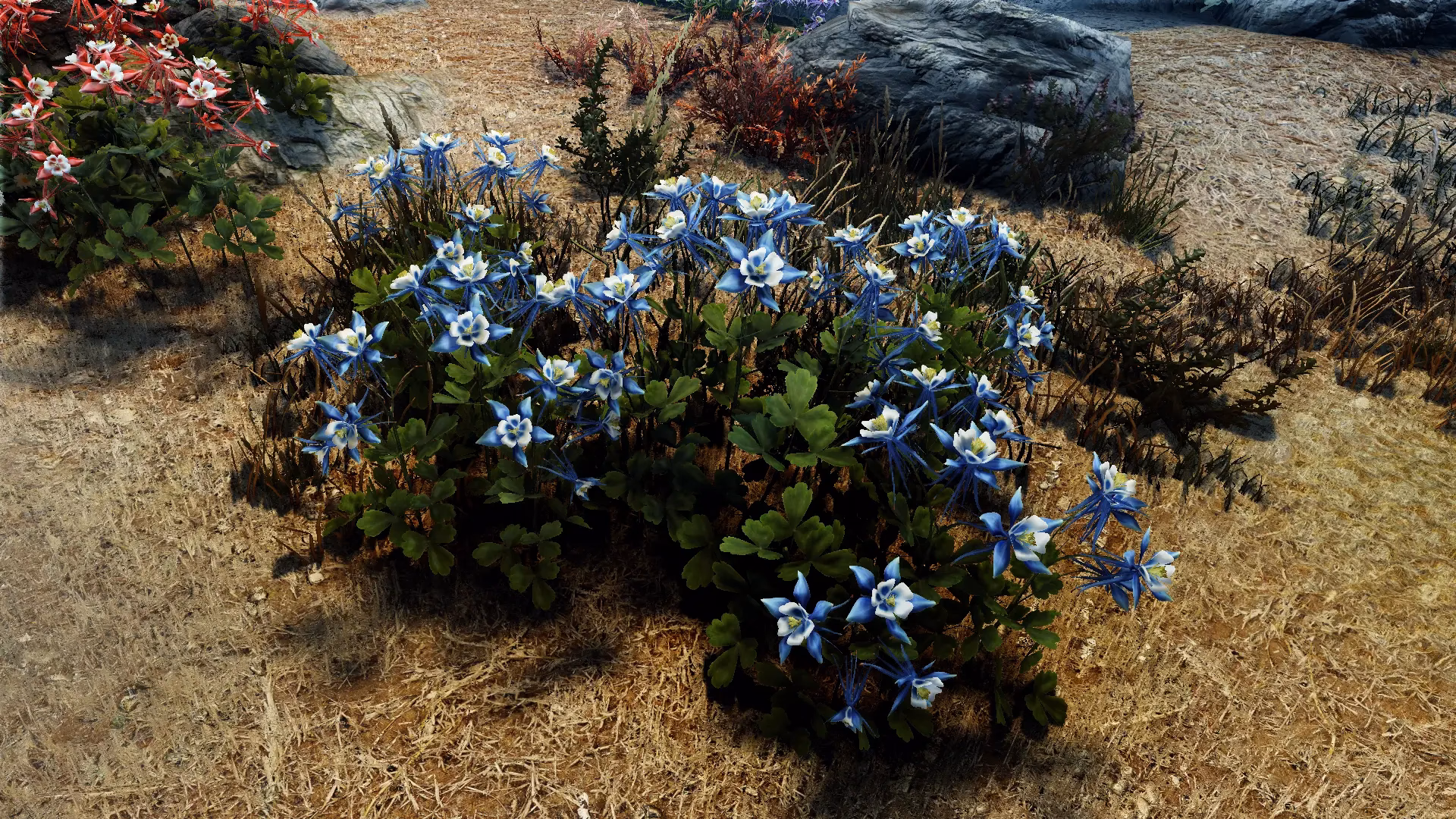 Can Blue Mountain flowers survive in snow?