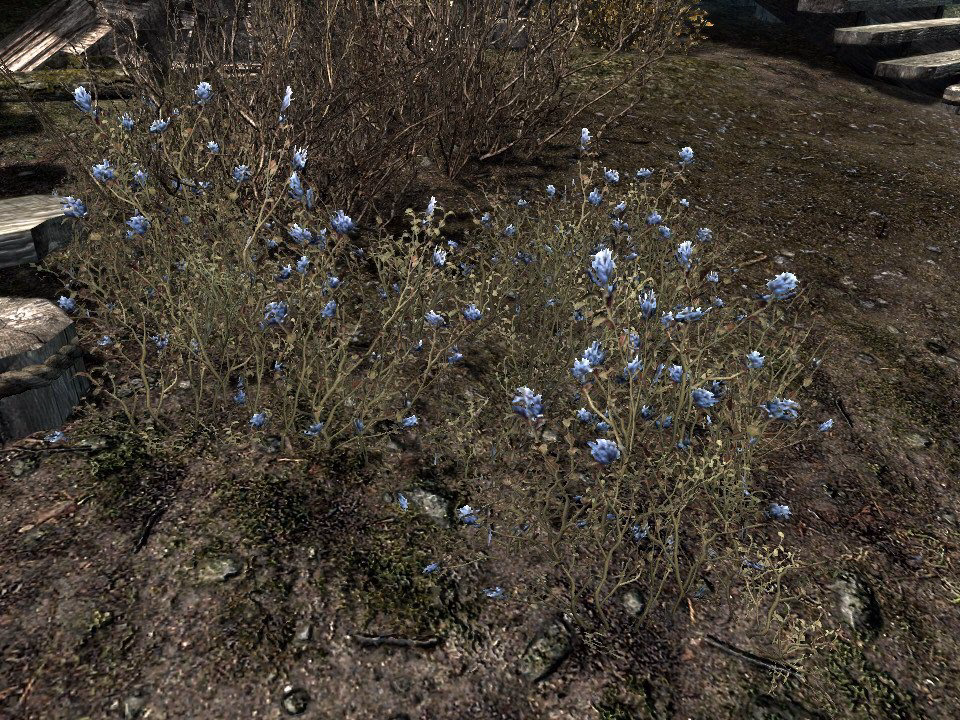 How do I spawn Blue Mountain Flower in Skyrim?