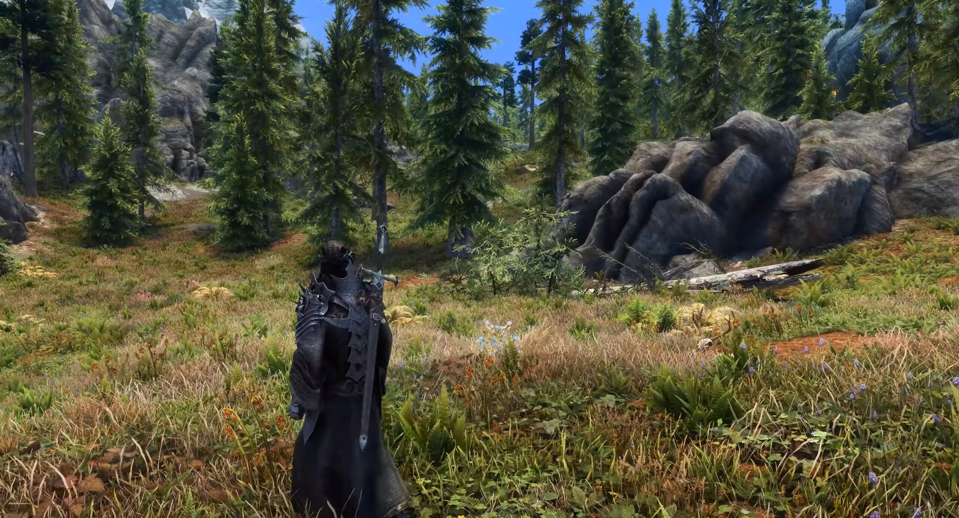 How do I add an ENB to Skyrim?