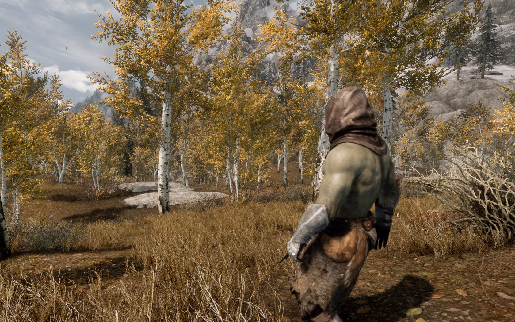 How do I add an ENB to Skyrim?