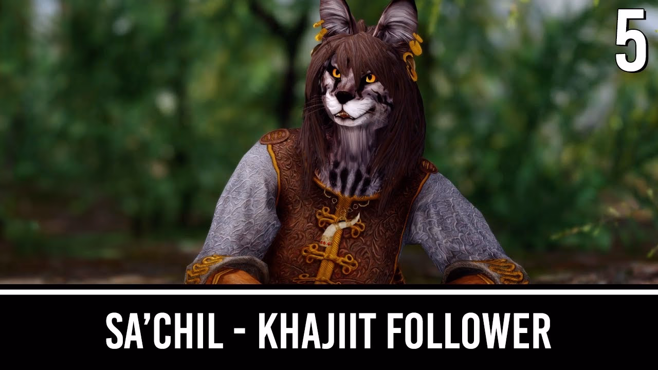 What does Khajiit add to Skyrim?