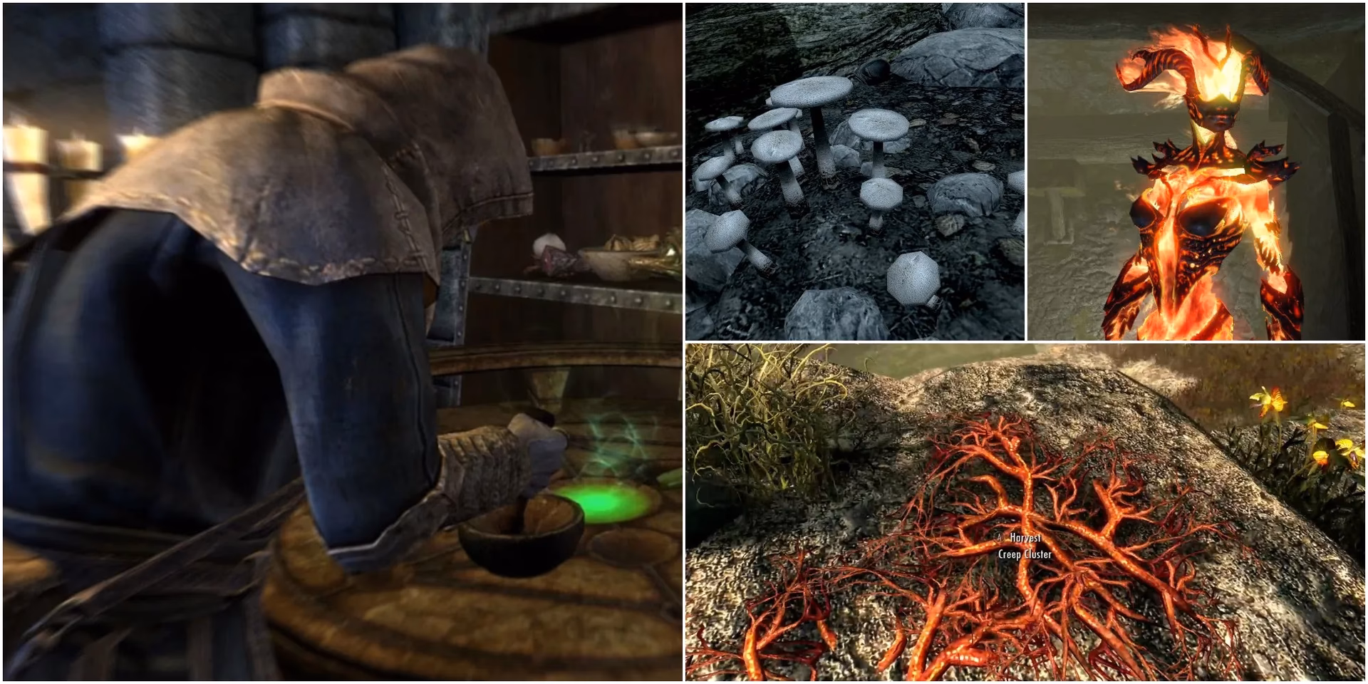 How do you increase Magicka in Skyrim?