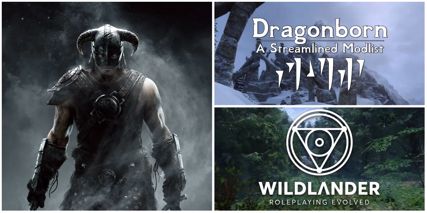 Are there any mods in Skyrim se?