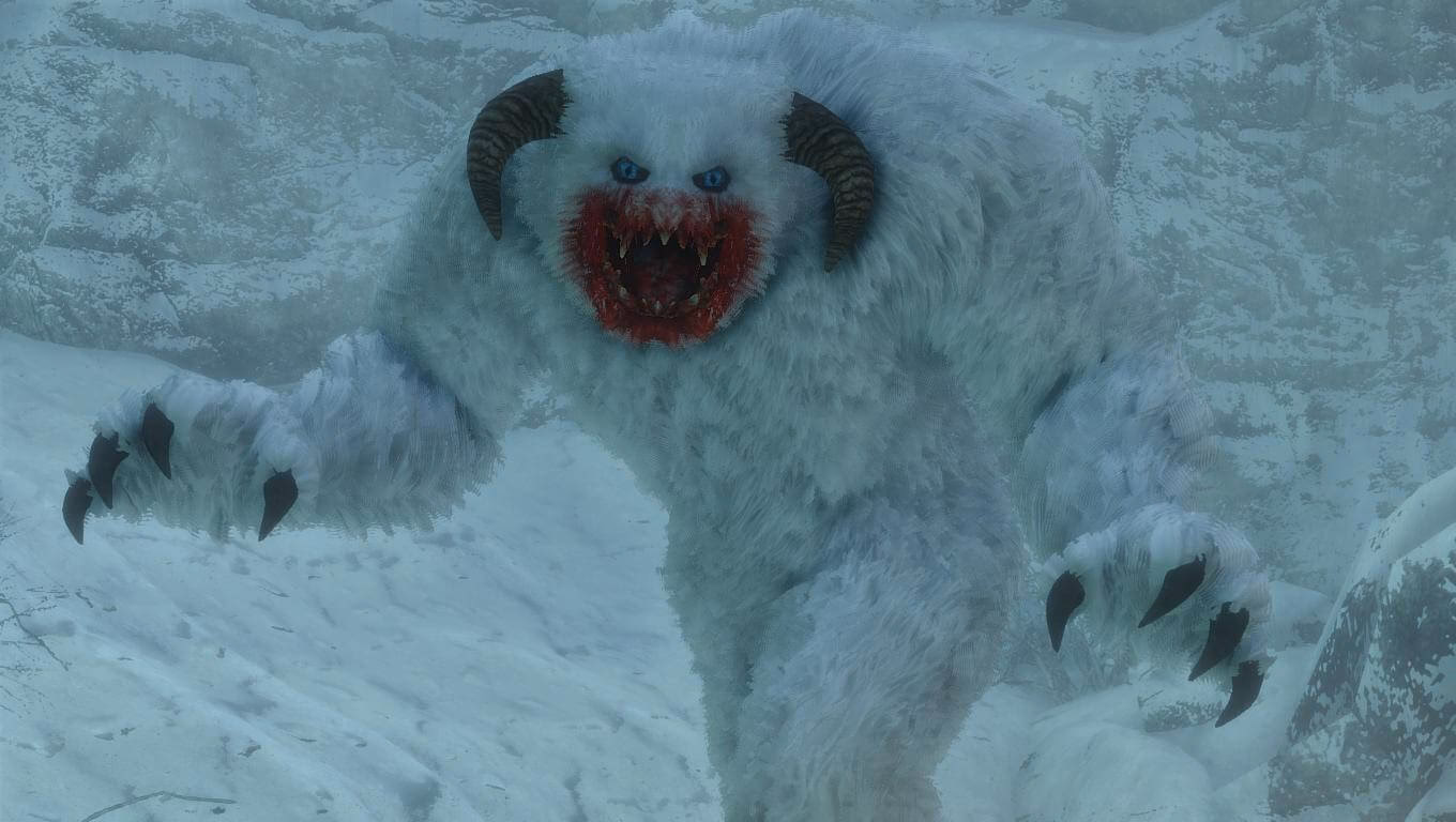 What Skyrim mods do modders offer?