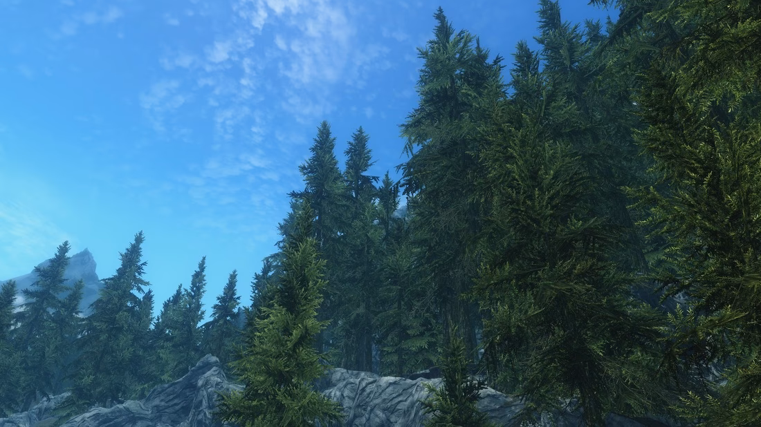 What is skysight - simply bigger trees?