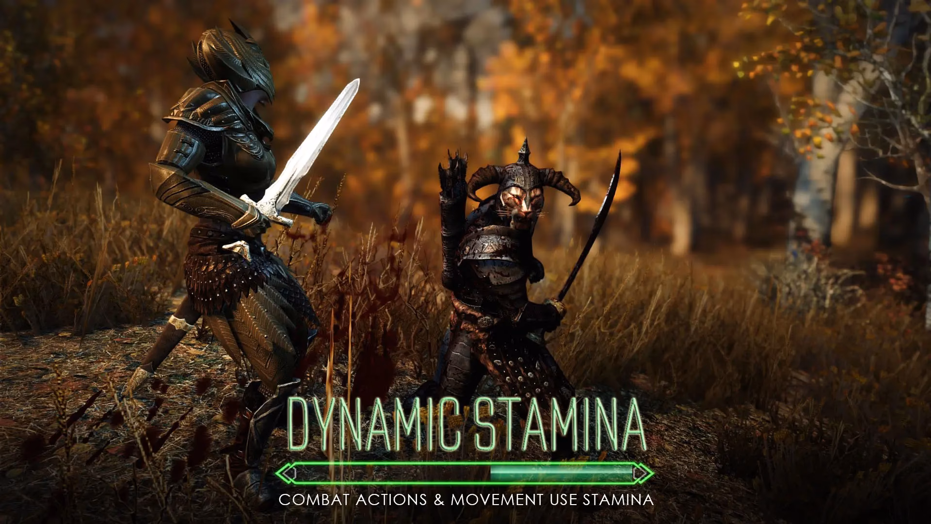 What is a stamina mod?