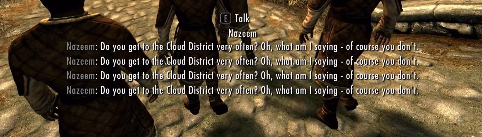 Do NPCs have subtitles?
