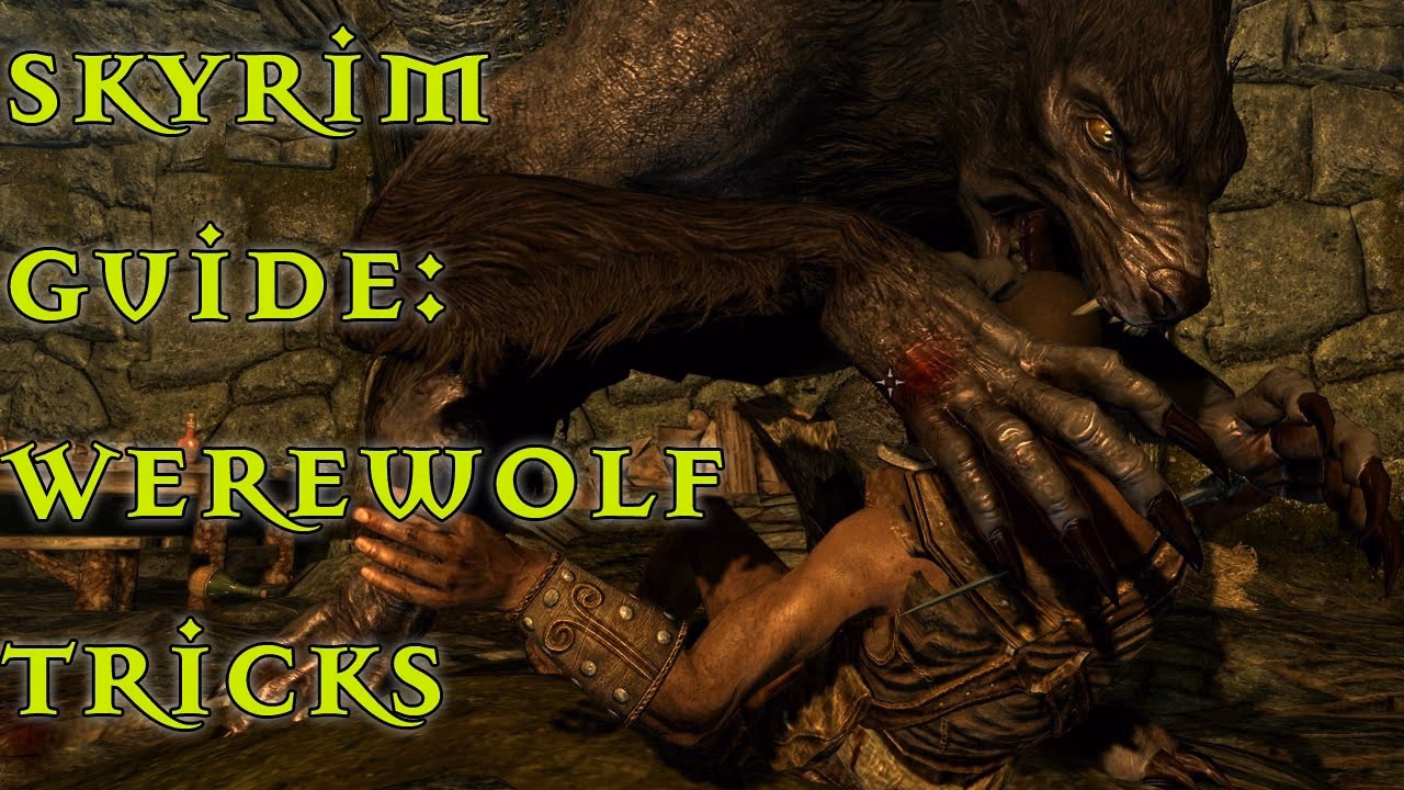 What is a wolf in Skyrim?