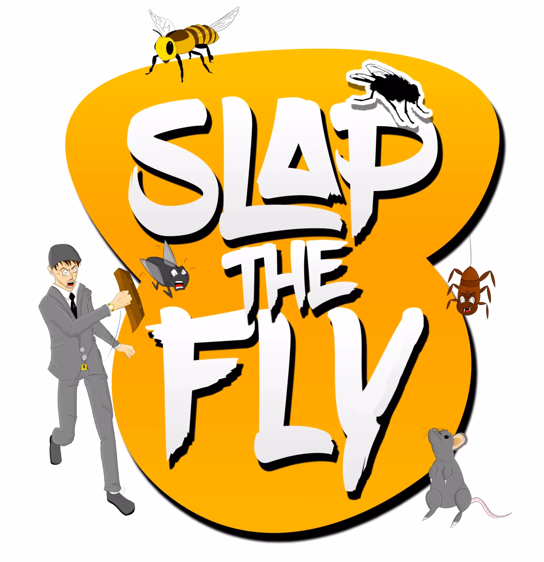 What is the mission of slap a fly?