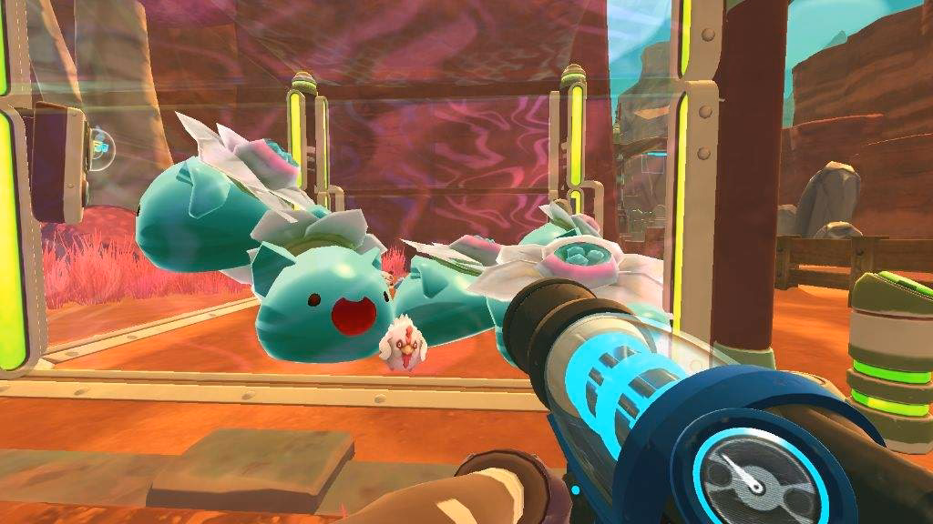 ¿Cuáles son las características de los Slimes?