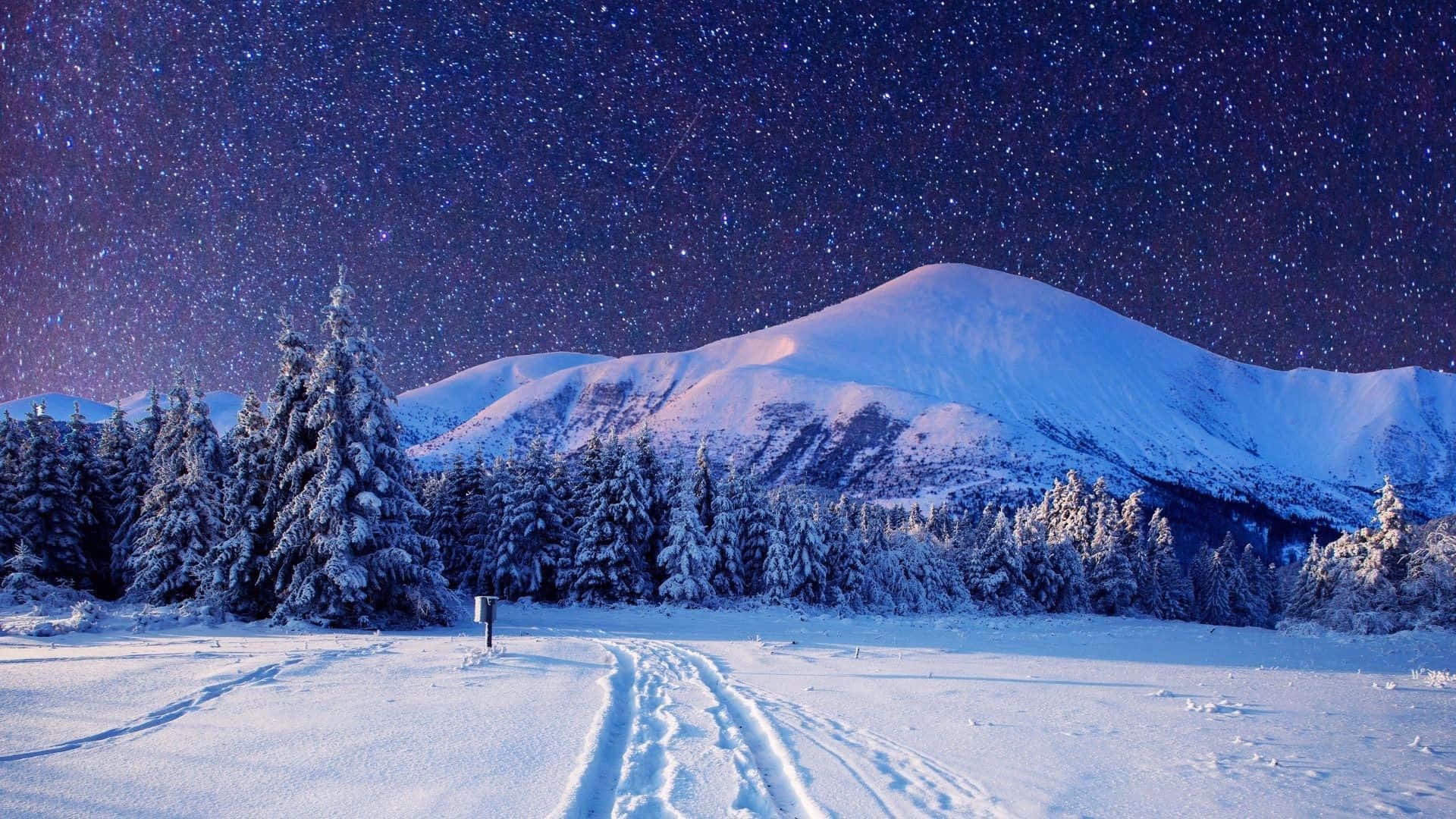 How many snow backgrounds are available in HD?