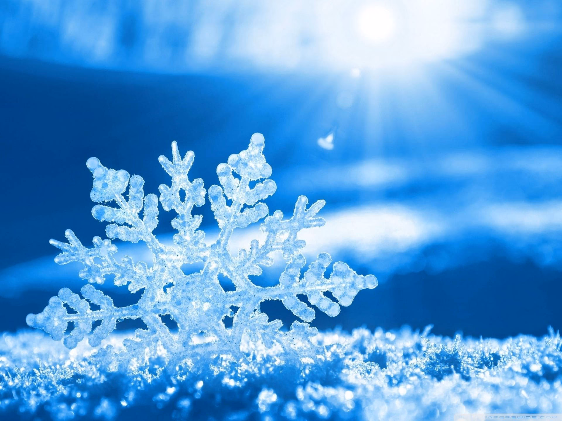 How many winter snow wallpapers are there?
