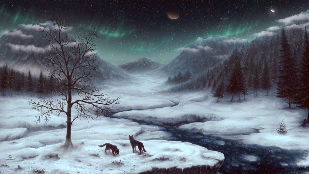 What is snowfall ENB?