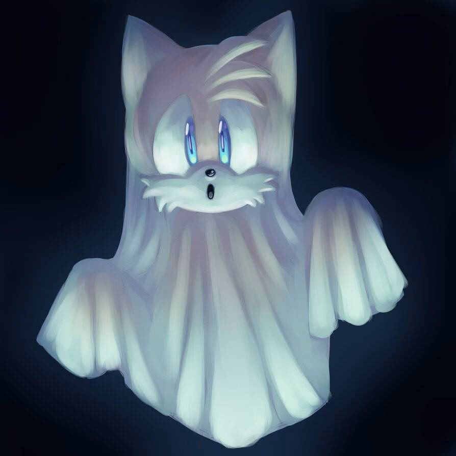 What did Sonic do to the tornado X?