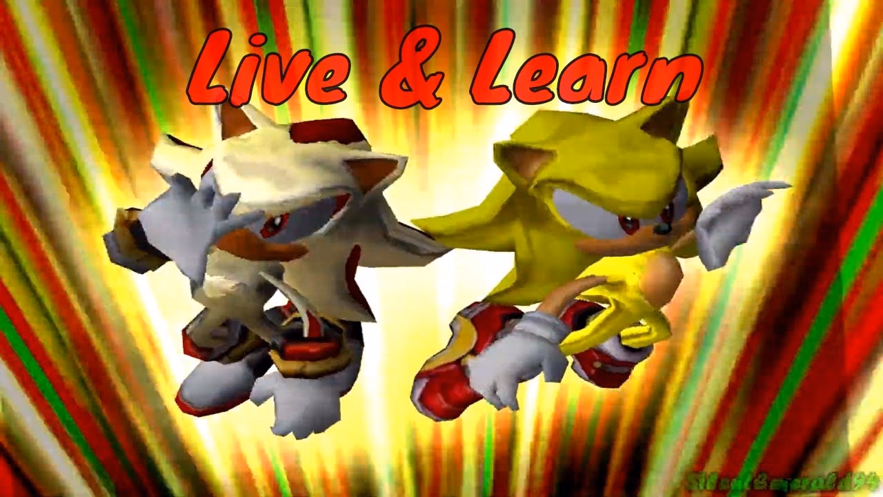 What is Sonic vs Shadow?