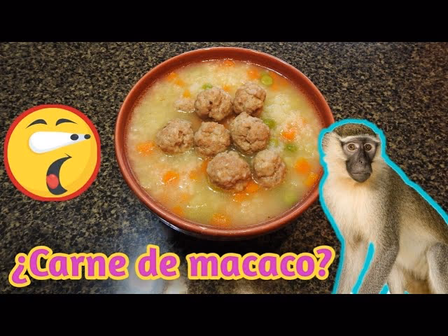 ¿Cuánto tiempo se deja enfriar la sopa de Macaco?