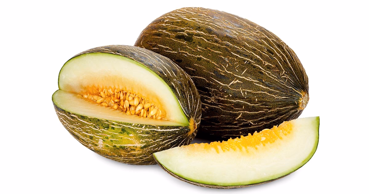What kind of melon can you grow in Spain?